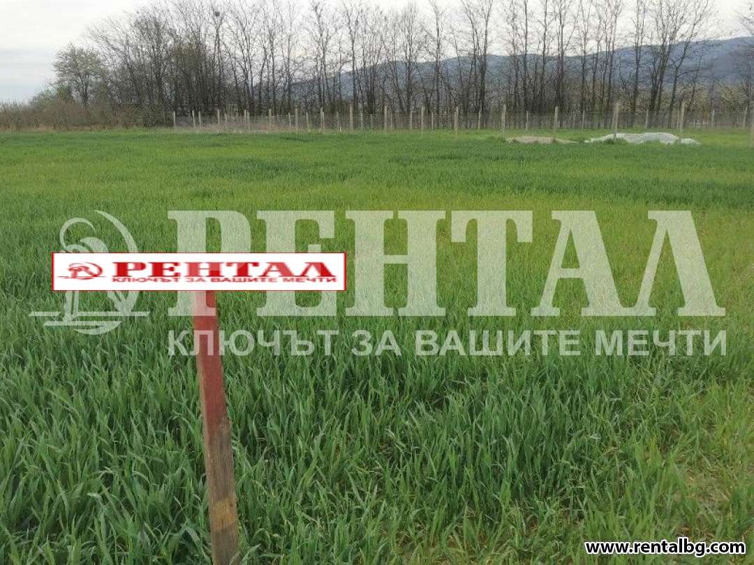 Оферта № 221780