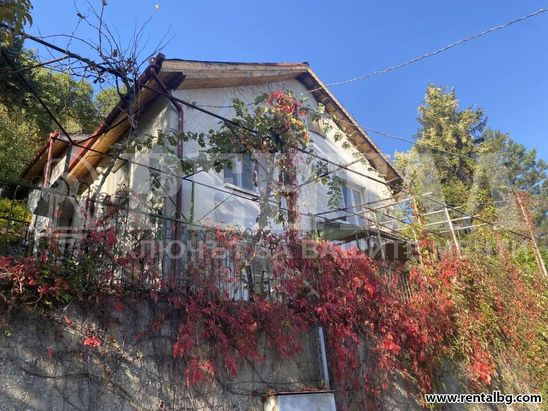 Оферта № 250443
